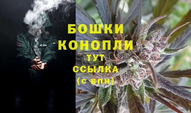 Бошки марихуана OG Kush  Новоульяновск 